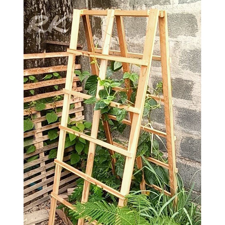 ค้างไม้เลื้อย ปลูกผักสวนครัว