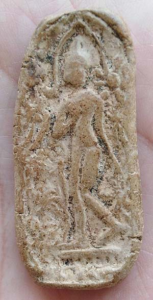 ลีลาข้างดอกไม้ เนื้อดิน