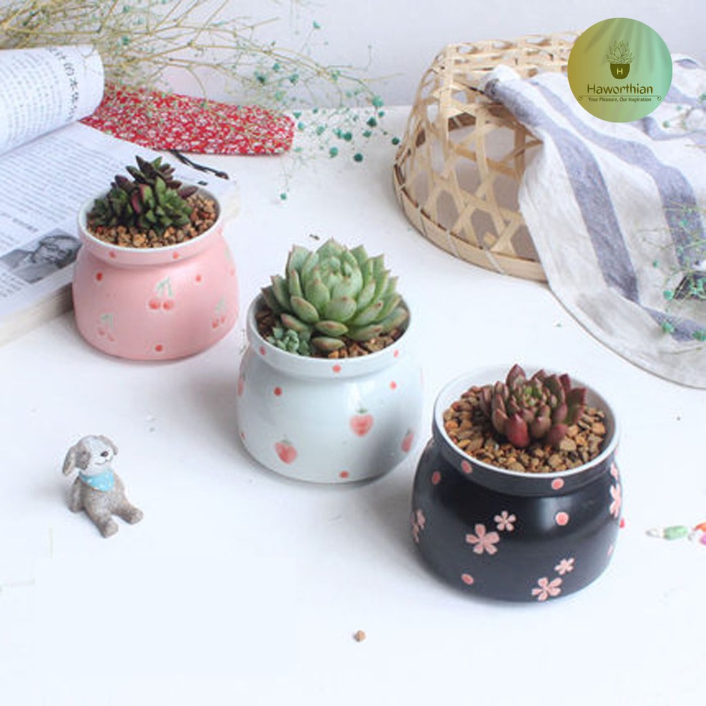 กระถางเซรามิกทรงกระถางโถ ขนาด 8.5cm สูง 8cm กระถางต้นไม้ กระถางแคตตัส กระถางเล็ก แอุปกรณ์ปลูกต้นไม้ สวน กุหลาบหิน