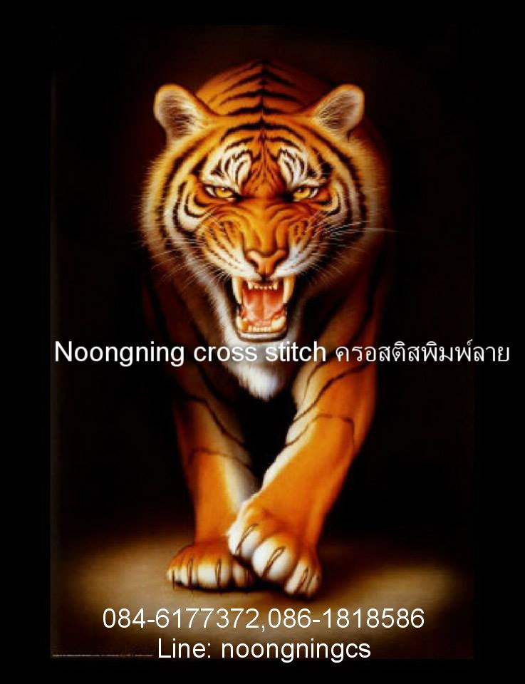 เสือมงคล ชุดปักครอสติส พิมพ์ลาย ครอสติสจีน งานฝีมือทำที่บ้าน DIY