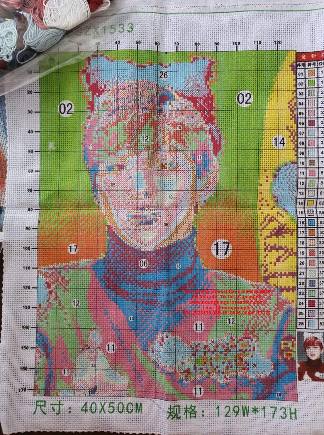 ครอสติส สั่งทํา 40x50ซม รูปดาราที่ชอบ ชุดปักครอสติส พิมพ์ลาย ครอสติสจีน งานฝีมือทำที่บ้าน DIY