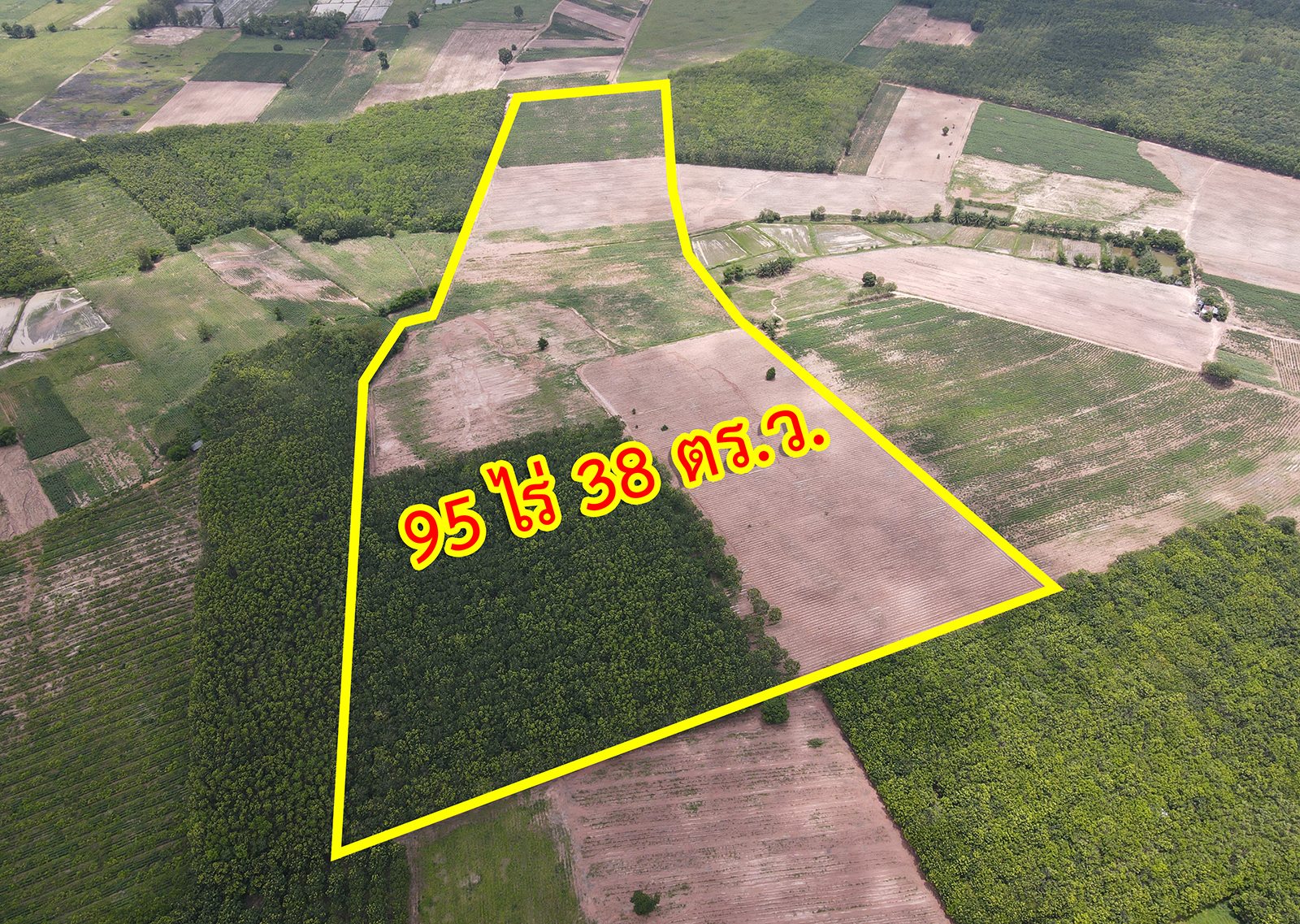 72165-ขายที่ดิน ตำบลตาลเลียน อำเภอกุดจับ จังหวัดอุดรธานี