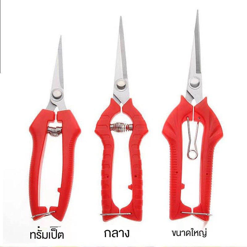 ஐ□กิ่งไม้ตัดแต่งสวน, กรรไกรเก็บผลไม้, กรรไกรผลไม้, กรรไกรพริกไทย, เครื่องมือเก็บเกี่ยวผลไม้ชนิดหนึ่ง, กรรไกรตัดผักและผ