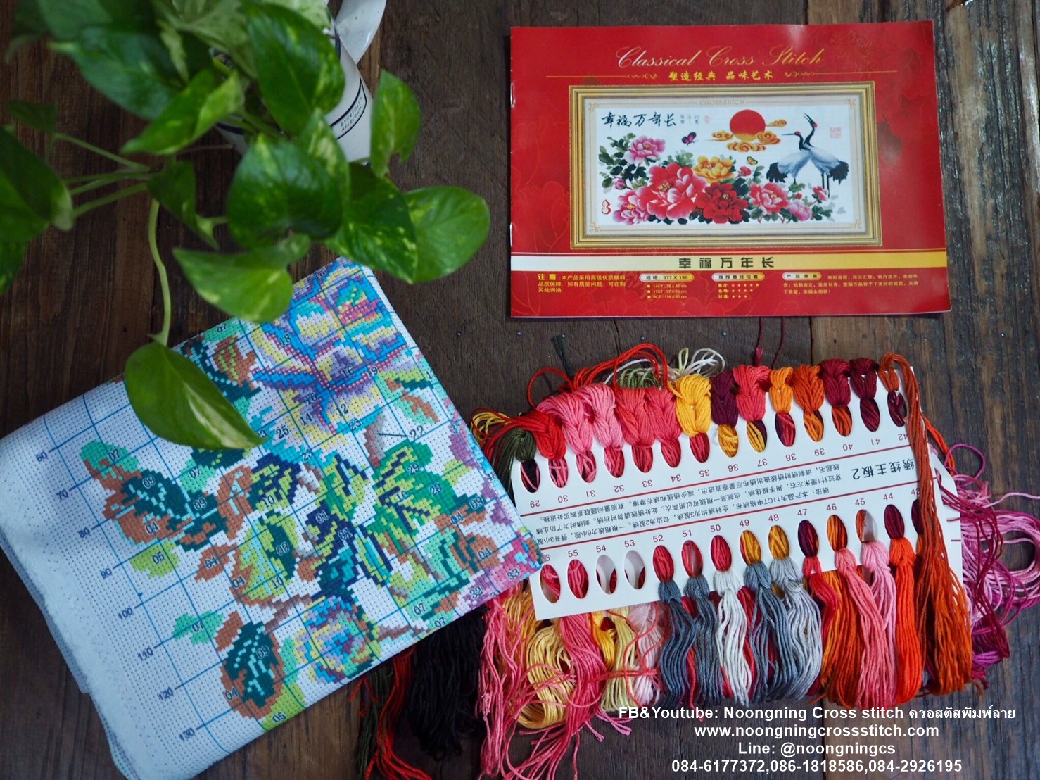 นกยูงคู่ ดอกแมกโลเนีย ชุดปักครอสติส พิมพ์ลาย ครอสติสจีน งานฝีมือทำที่บ้าน DIY