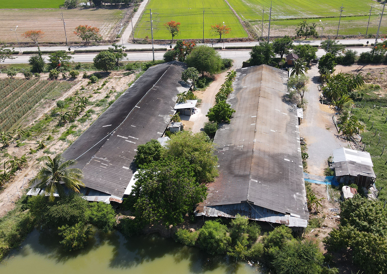 68412-ขายที่ดิน พร้อมฟาร์มไก่เนื้อระบบปิด ท่าเสด็จ สุพรรณบุรี