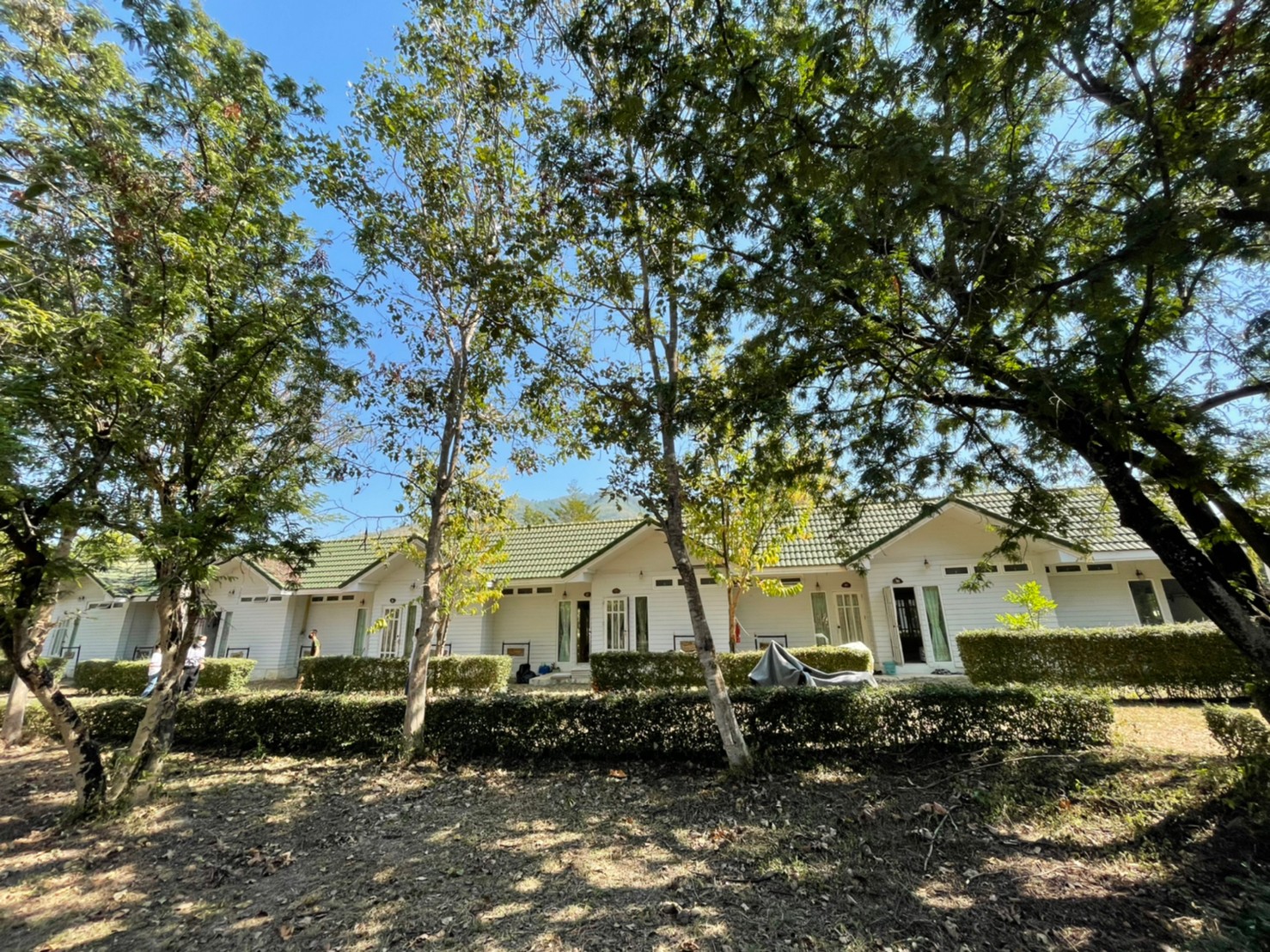 76932-ขายรีสอร์ท น้ำตกตาดหมอก อุทยานแห่งชาติตาดหมอก เมืองเพชรบูรณ์ เพชรบูรณ์