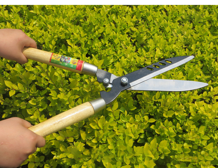 T&G กรรไกรตัดแต่งกิ่ง กรรไกรตัดหญ้า อุปกรณ์ตกแต่งสวน น้ำหนักเบา ตัดเร็ว กรรไกรตัดหญ้าด้ามไม้ กรรไกรเล็มหญ้า