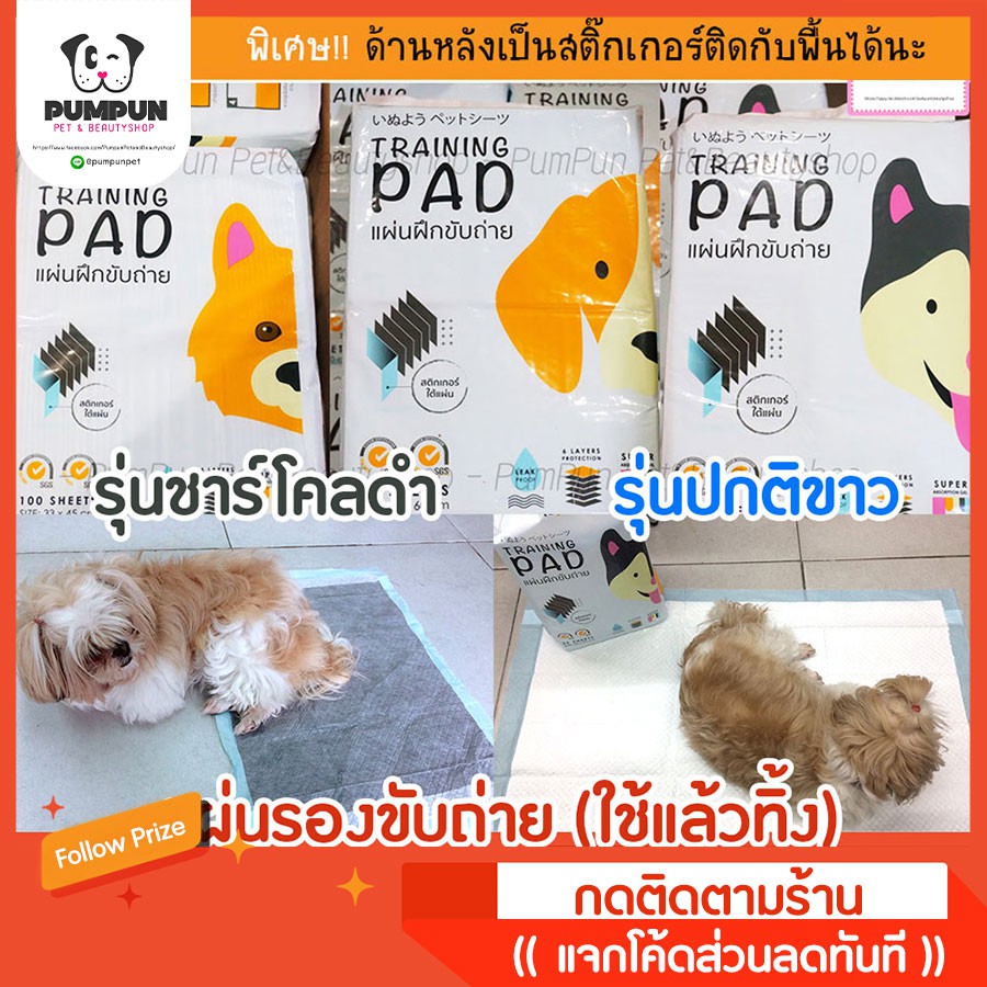 SALE💥(แพ็ค)แผ่นฝึกขับถ่าย แผ่นรองปัสสาวะสัตว์เลี้ยง Hajiko แผ่นรองฉี่สุนัข traning pad ชาร์โคล