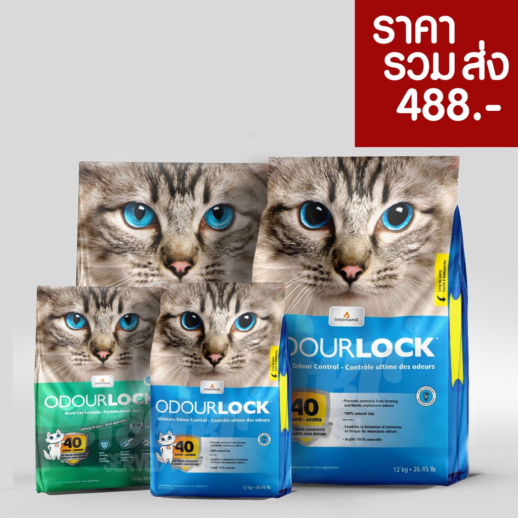 OdourLock 12 Kg. จัดด่วน ทรายแมว cat litter เกรดอัลตราพรีเมียม 12 กก. odor lock Odour Lock