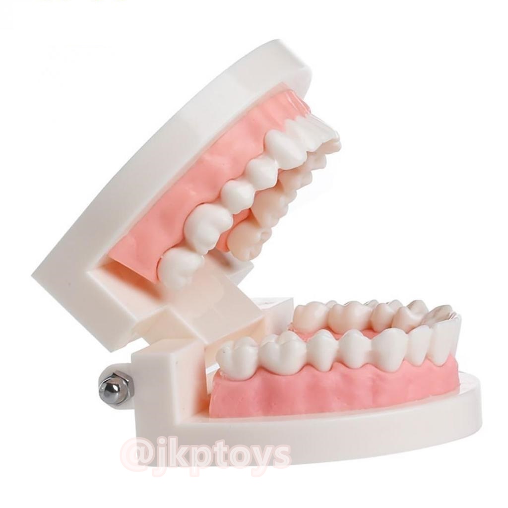 โมเดลฟันเสมือนจริง