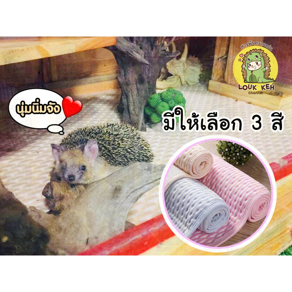 ผ้ารองฉี่ซักได้ สำหรับเม่นแคระและสัตว์เล็ก