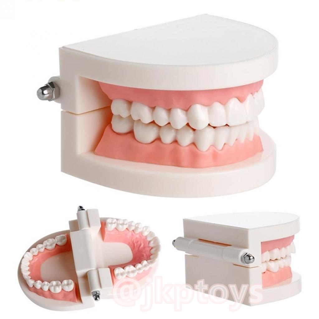 โมเดลฟันเสมือนจริง