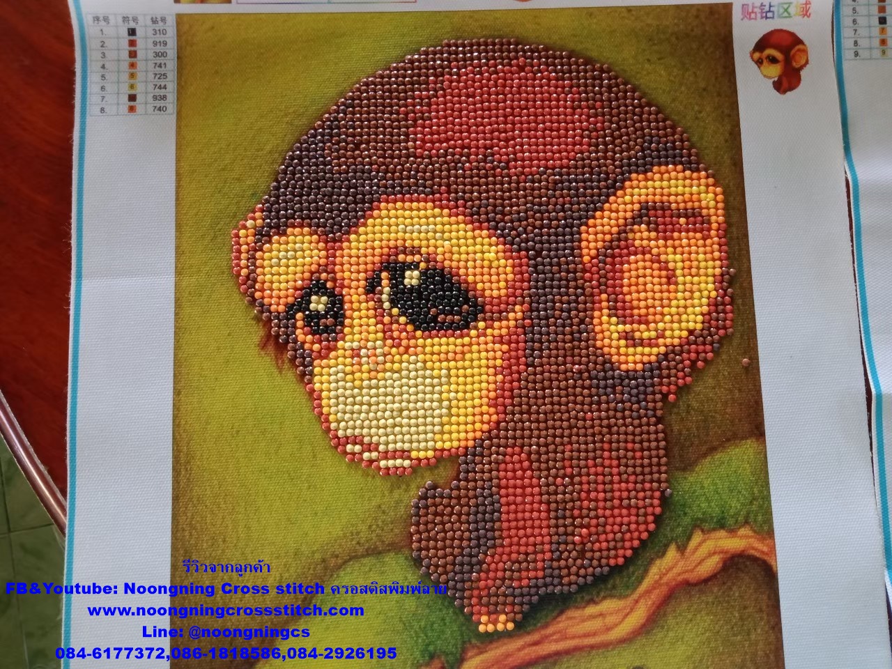 บ้าานสวน รื่นรมย์ ครอสติสคริสตัล Diamond painting โมเสก ภาพติดเพชร งานฝีมือทำที่บ้าน DIY