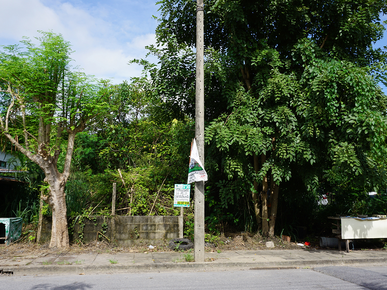 72076-ขายที่ดิน ชุมชนเคหะวัดไพร่ฟ้า บางหลวง ปทุมธานี