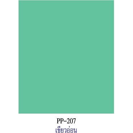 สีเขียวอ่อน กระดาษโปสเตอร์สี 2 หน้า 20 แผ่น PP207