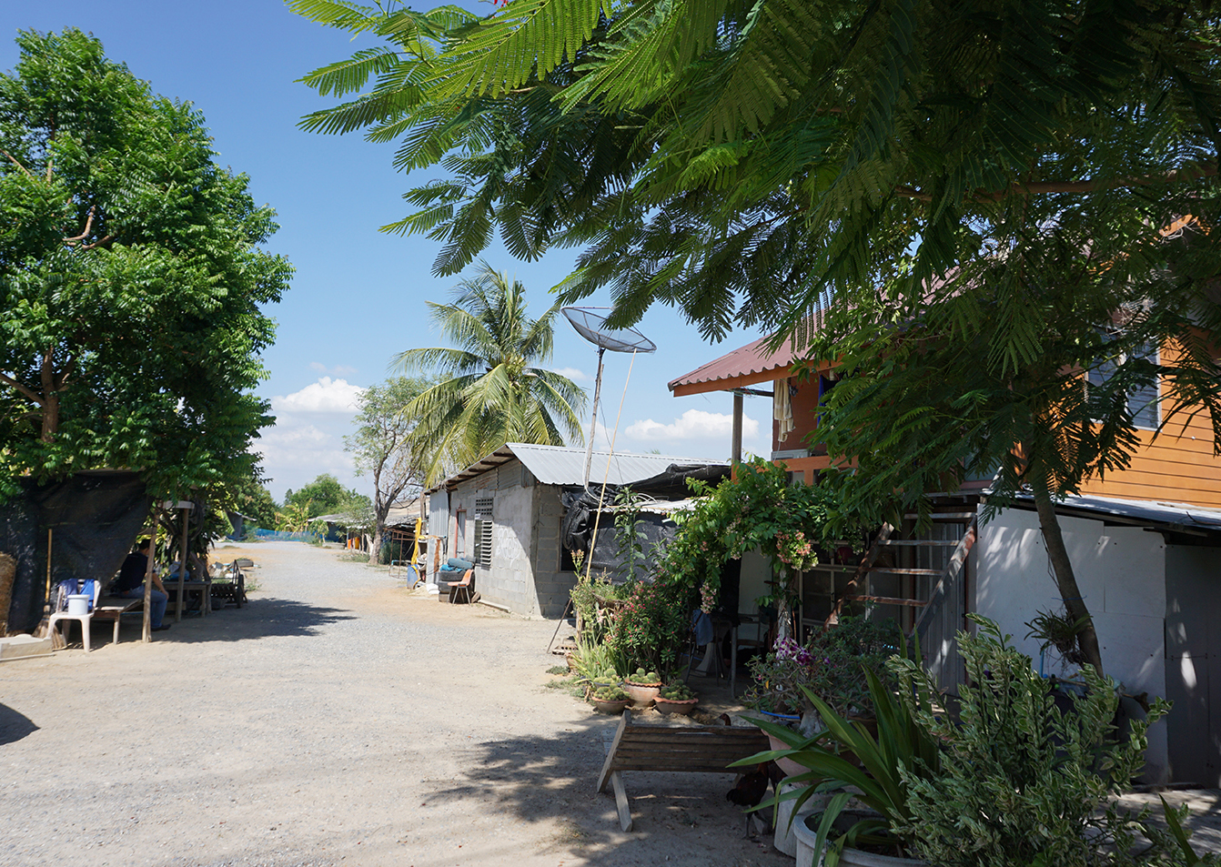 68412-ขายที่ดิน พร้อมฟาร์มไก่เนื้อระบบปิด ท่าเสด็จ สุพรรณบุรี