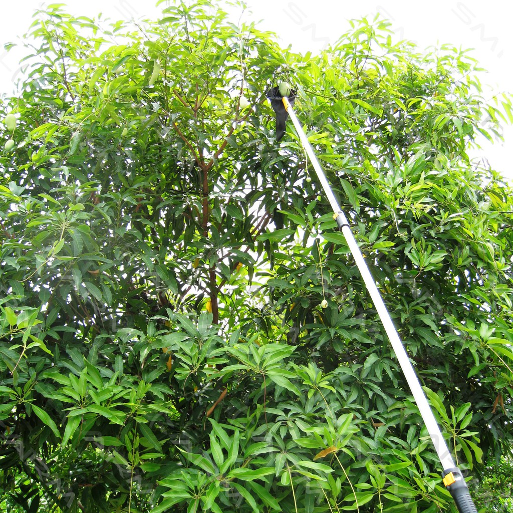 SmileArm® ด้ามกดล็อค 4 ม. อลูมิเนียมแท้100% ใช้คู่กับหัวอุปกรณ์ ด้ามอเนกประสงค์ ยืด-หดได้ ไม่เป็นสนิม มีประกันส่งซ่อมได้