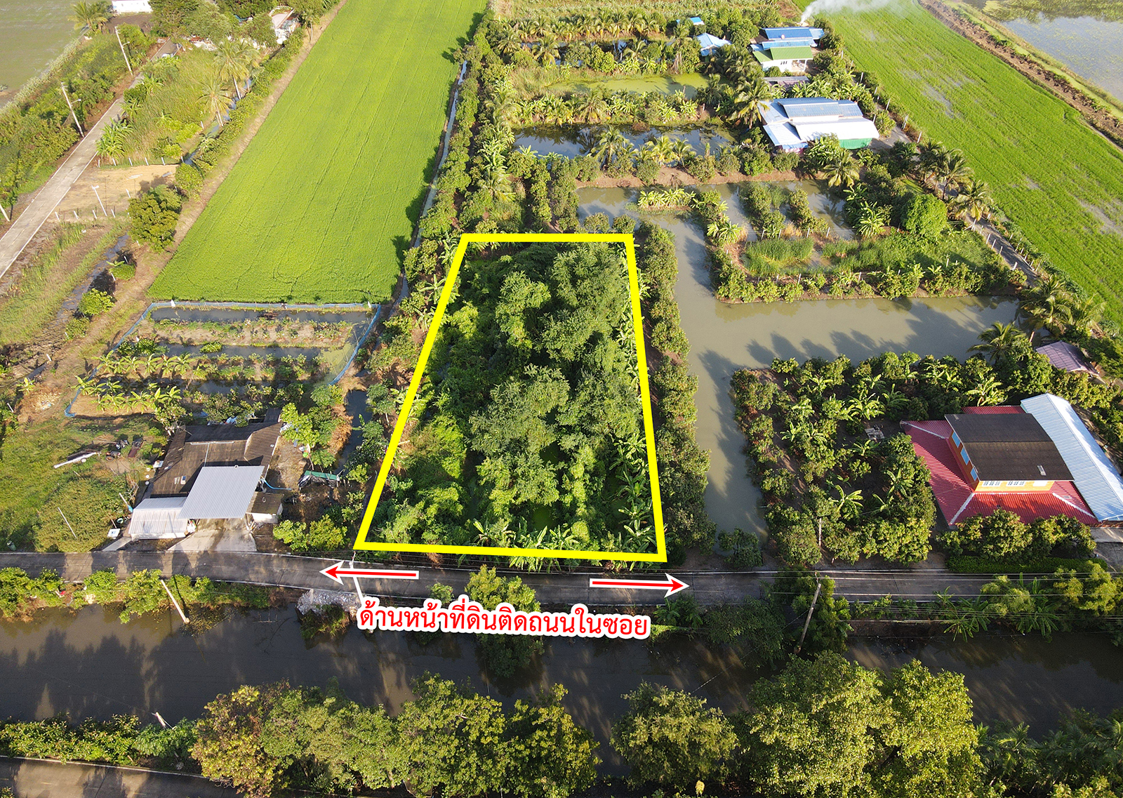 81576-ขายที่ดิน ซอยวัดลาดปลาดุก คลองกำนันชื้น บางบัวทอง นนทบุรี