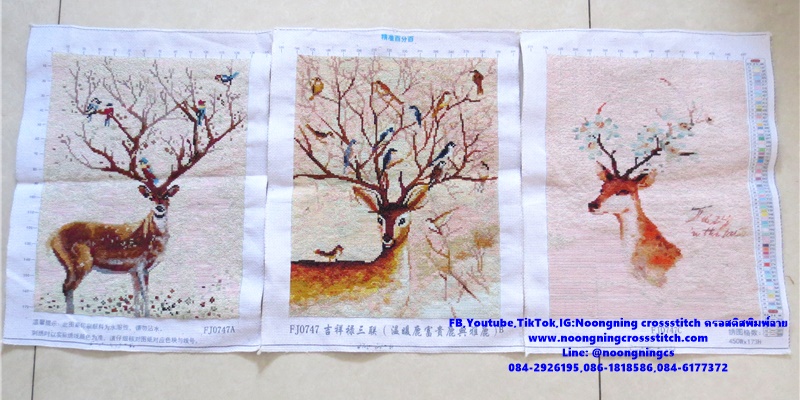 กวางเขาสวยงาม ครอสติสปักสำเร็จ11CT:ขนาดผ้า :45X59 ซม.