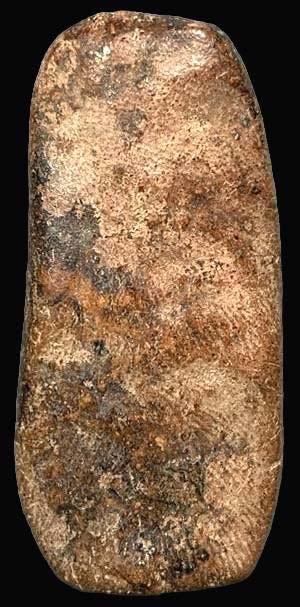 ลีลาข้างดอกไม้ เนื้อดิน