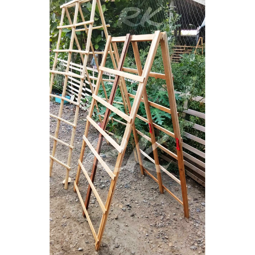 ค้างไม้เลื้อย ปลูกผักสวนครัว