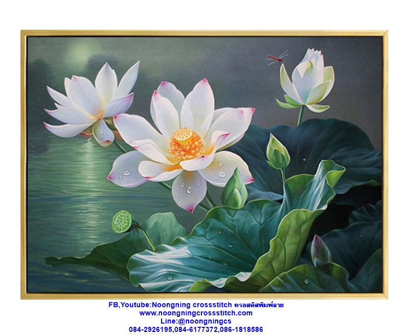 ดอกบัวหลวง มงคล ชุดปักครอสติส พิมพ์ลาย ครอสติสจีน งานฝีมือทำที่บ้าน DIY