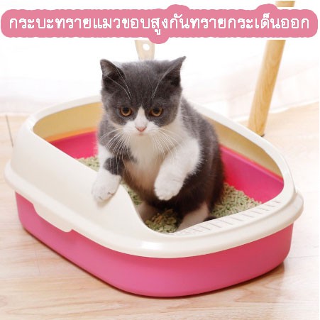 กระบะทรายแมว ขอบสูงป้องกันทรายกระเด็น