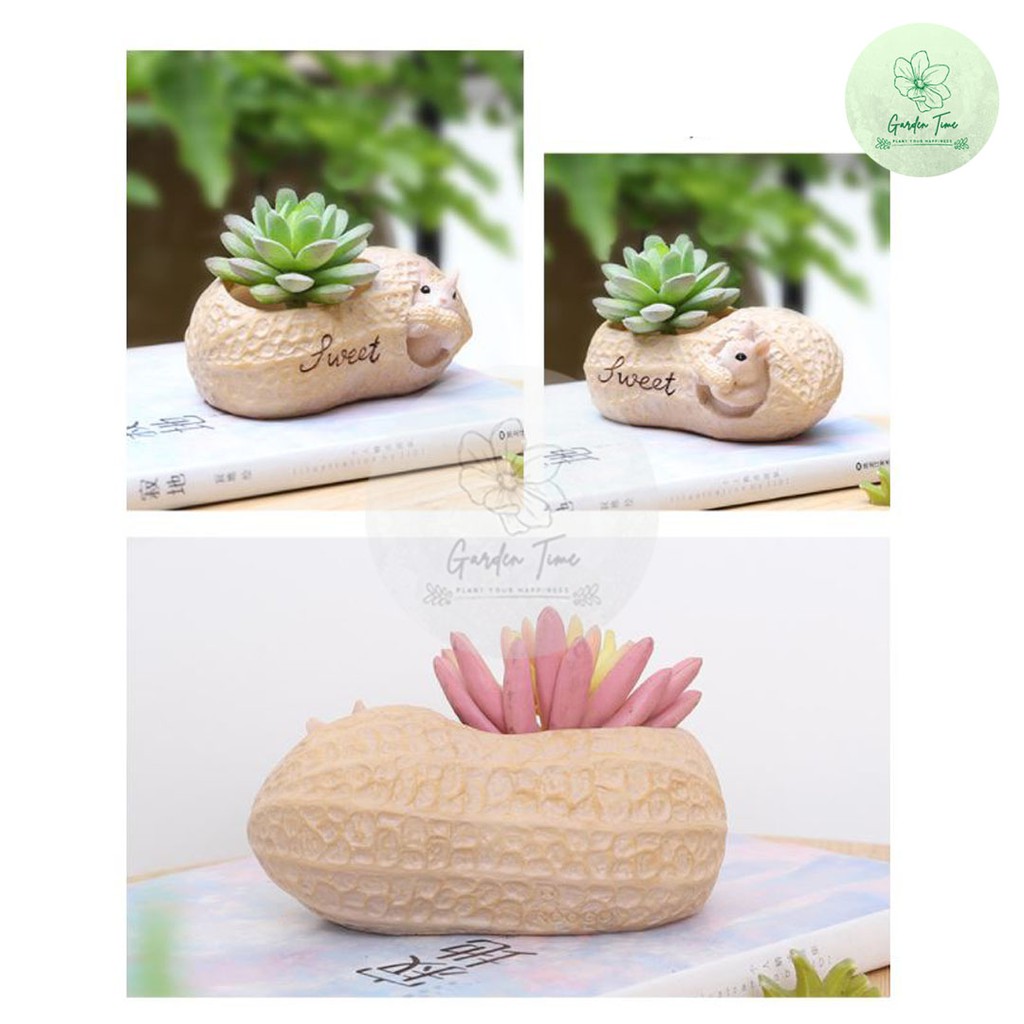 กระถางเรซินกระรอก Resin Pots กระถางไม้อวบน้ำ กระถางต้นไม้ กระถางกุหลาบหิน แต่งสวน ของขวัญ ของชำร่วย ต้นไม้