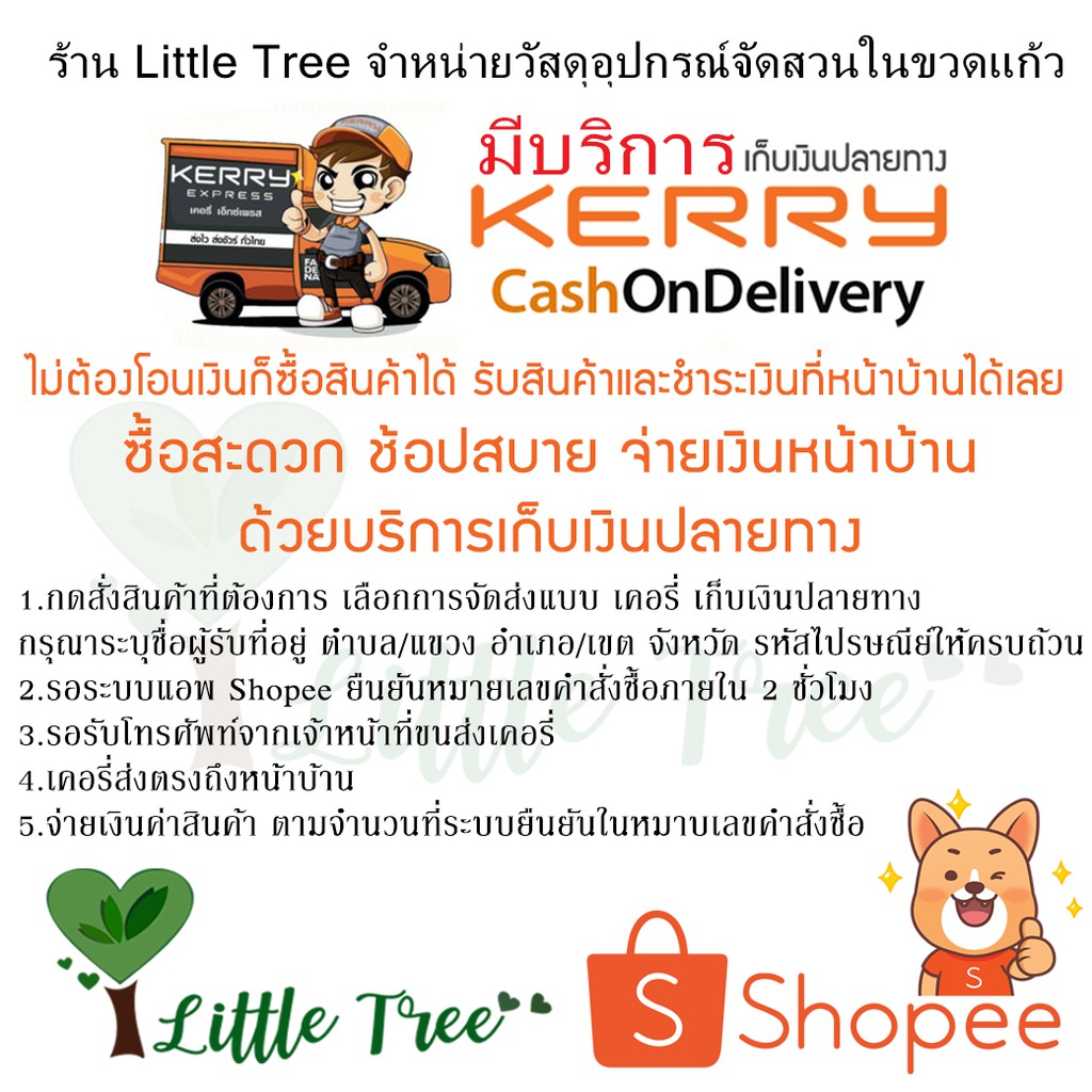 ชุดจัดสวนขวด DIY สวนแบบเปิด ขนาดเล็ก 299 บาท