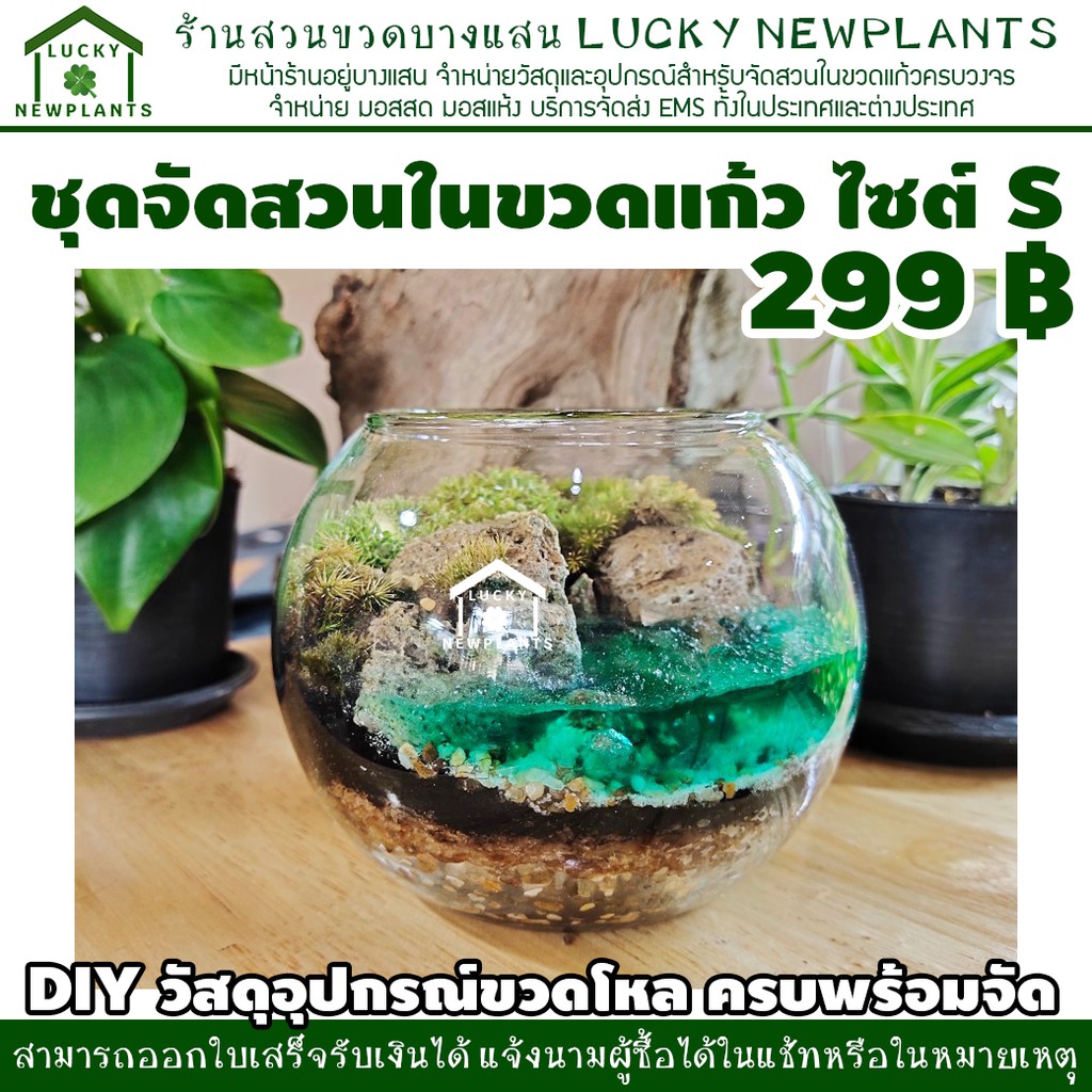 ชุดสวนขวด DIY ไซต์ S สวนเปิด 299 บาท ชุดตกแต่งธารน้ำสีเขียว
