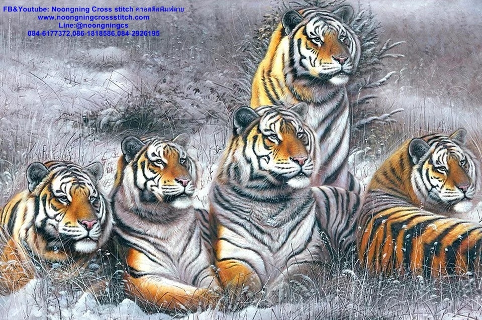 ฝูงเสือโคร่ง ครอสติสคริสตัล Diamond painting โมเสก ภาพติดเพชร งานฝีมือทำที่บ้าน DIY