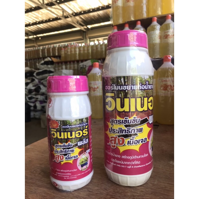 วินเนอร์(ฮอร์โมนขยายท่อน้ำยาง)