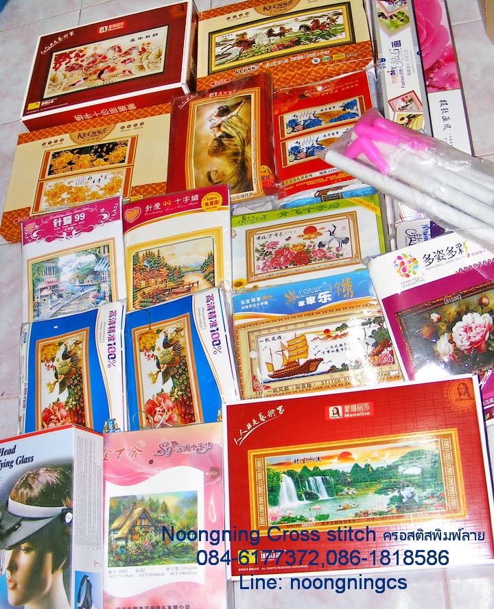 อินทรีย์ ชุดปักครอสติช พิมพ์ลาย ครอสติสจีน งานฝีมือ DIY