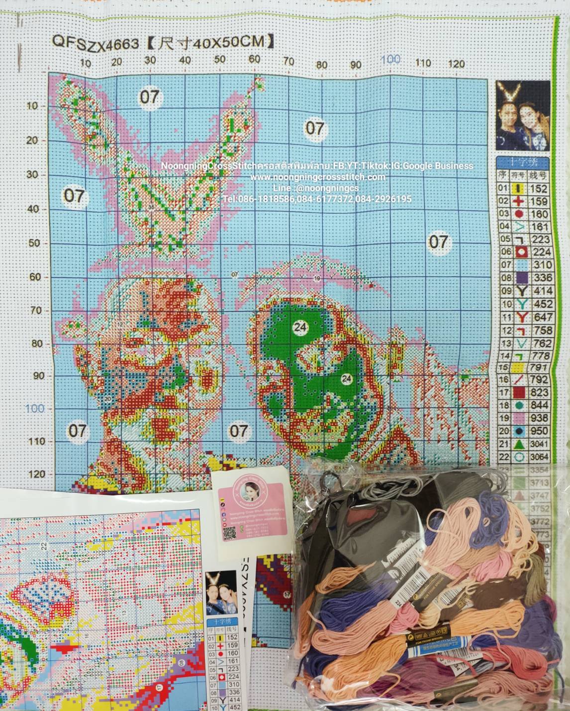 ครอสติส สั่งทํา 40x50ซม รูปตามแบบที่คุณต้องการ ชุดปักครอสติส พิมพ์ลาย ครอสติสจีน งานฝีมือทำที่บ้าน DIY