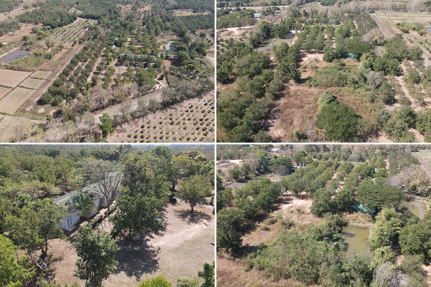 76932-ขายรีสอร์ท น้ำตกตาดหมอก อุทยานแห่งชาติตาดหมอก เมืองเพชรบูรณ์ เพชรบูรณ์