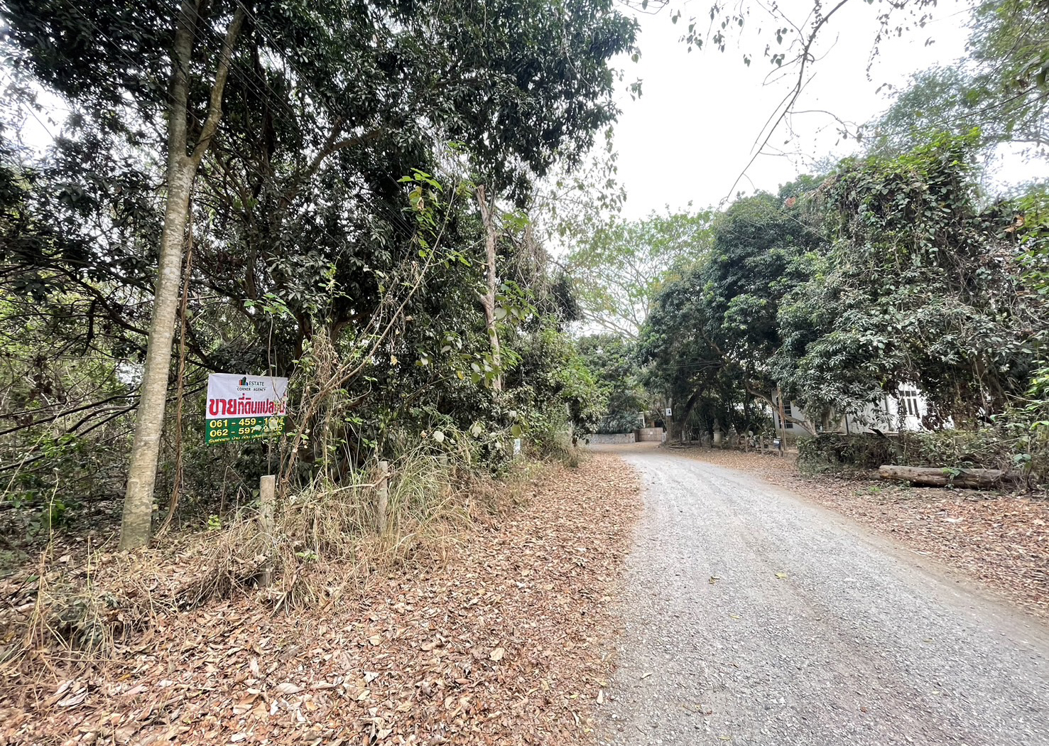 76931-ขายที่ดิน อำเภอแม่ริม จังหวัดเชียงใหม่