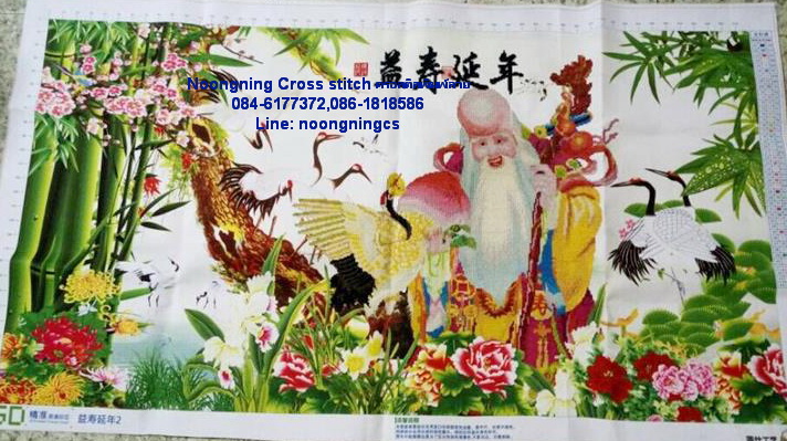 ม้าครอสติสไม่พิมพ์ลาย