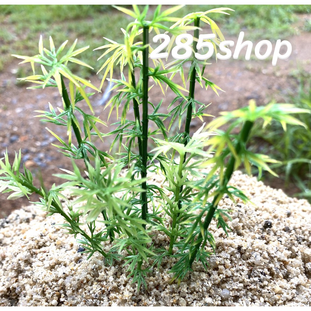 ส่งในไทย ชุดละ 10 ต้น ไผ่จิ๋ว ไผ่จำลอง เหมือนจริง ไผ่ประดับสวน ดัดได้ ต้นไผ่ม่วง ต้นไผ่มงคล ชุดละ 10 ต้น 39 บาท 285shop