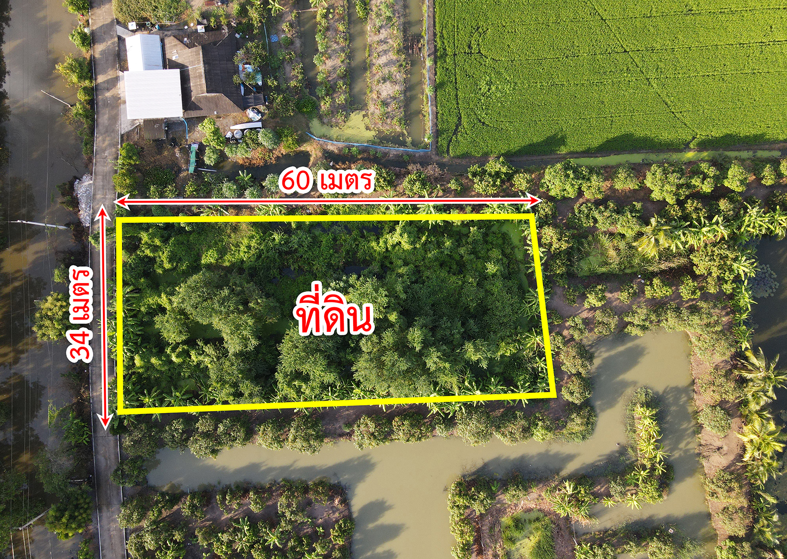 81576-ขายที่ดิน ซอยวัดลาดปลาดุก คลองกำนันชื้น บางบัวทอง นนทบุรี