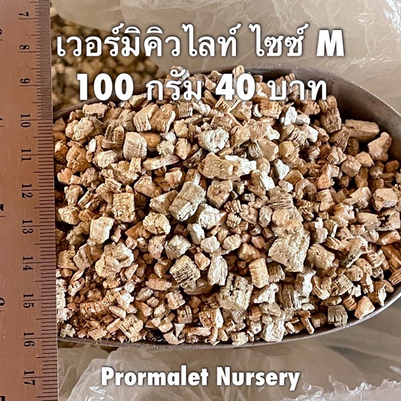 Vermiculite เวอร์มิคูไลท์ เวอร์มิคิวไลต์ มีไซส์ S /M ราคา 40บาท