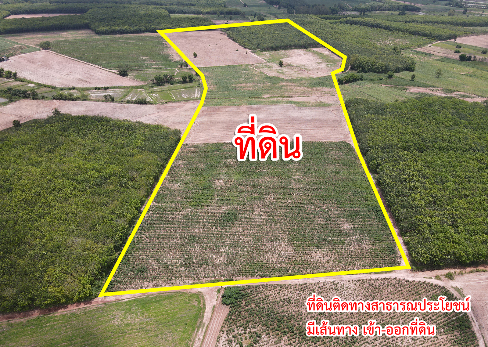 72165-ขายที่ดิน ตำบลตาลเลียน อำเภอกุดจับ จังหวัดอุดรธานี
