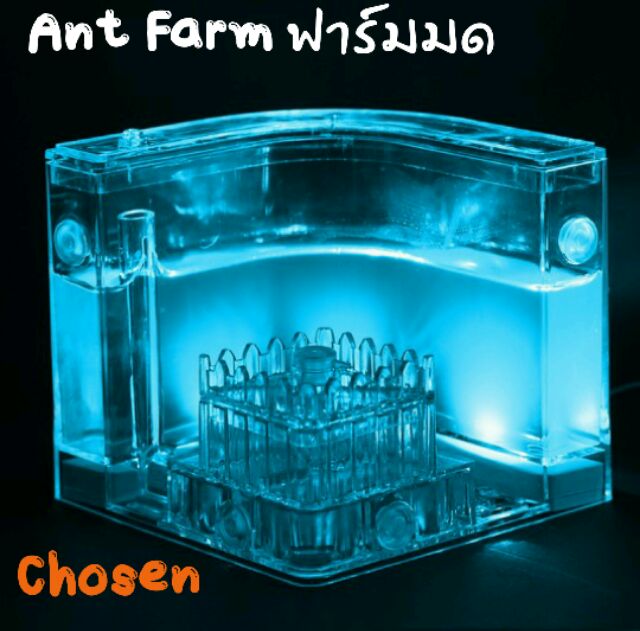 บ้านมด ที่เลี้ยงมีไฟส่อง กล่องเลี้ยงมด ฟาร์มมดของเล่น บ้านมด ฟาร์มมดเจลเขาวงกต Ant Farm-B(มีไฟLED)