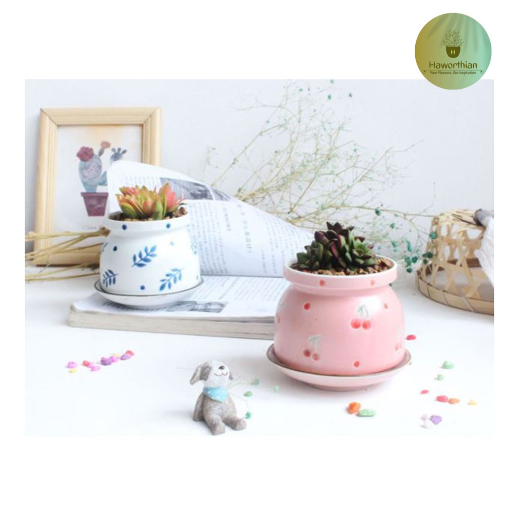 กระถางเซรามิกทรงกระถางโถ ขนาด 8.5cm สูง 8cm กระถางต้นไม้ กระถางแคตตัส กระถางเล็ก แอุปกรณ์ปลูกต้นไม้ สวน กุหลาบหิน