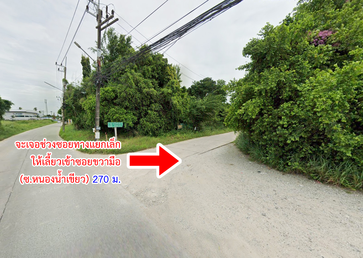 75027-ขายที่ดิน ซอยวัดมาบไผ่ ต.มาบไผ่ อ.บ้านบึง จ.ชลบุรี