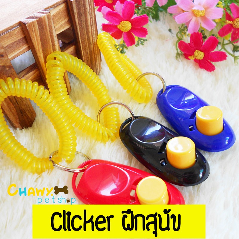 อุปกรณ์คลิกเกอร์แบบพลาสติก สำหรับฝึกซ้อมสุนัข RBWA คลิกเกอร์ด๊อก clicker clikerdog ฝึกสุนัข คลิกเกอร์ อุปกรณ์ฝึกสุนัข Pe