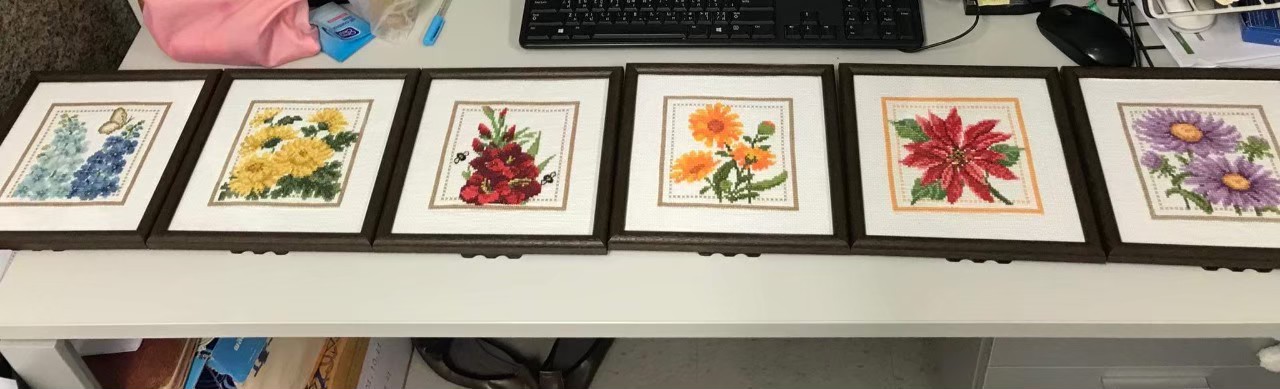 นกยูงสวยงาม ชุดปักครอสติส พิมพ์ลาย ครอสติสจีน งานฝีมือทำที่บ้าน DIY