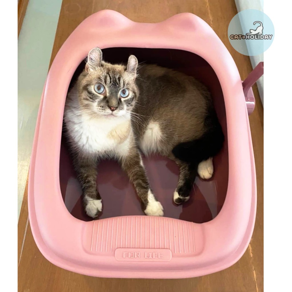 CatHoliday ห้องน้ำถาดหน้าแมว XL ห้องน้ำแมว กระบะทรายแมว