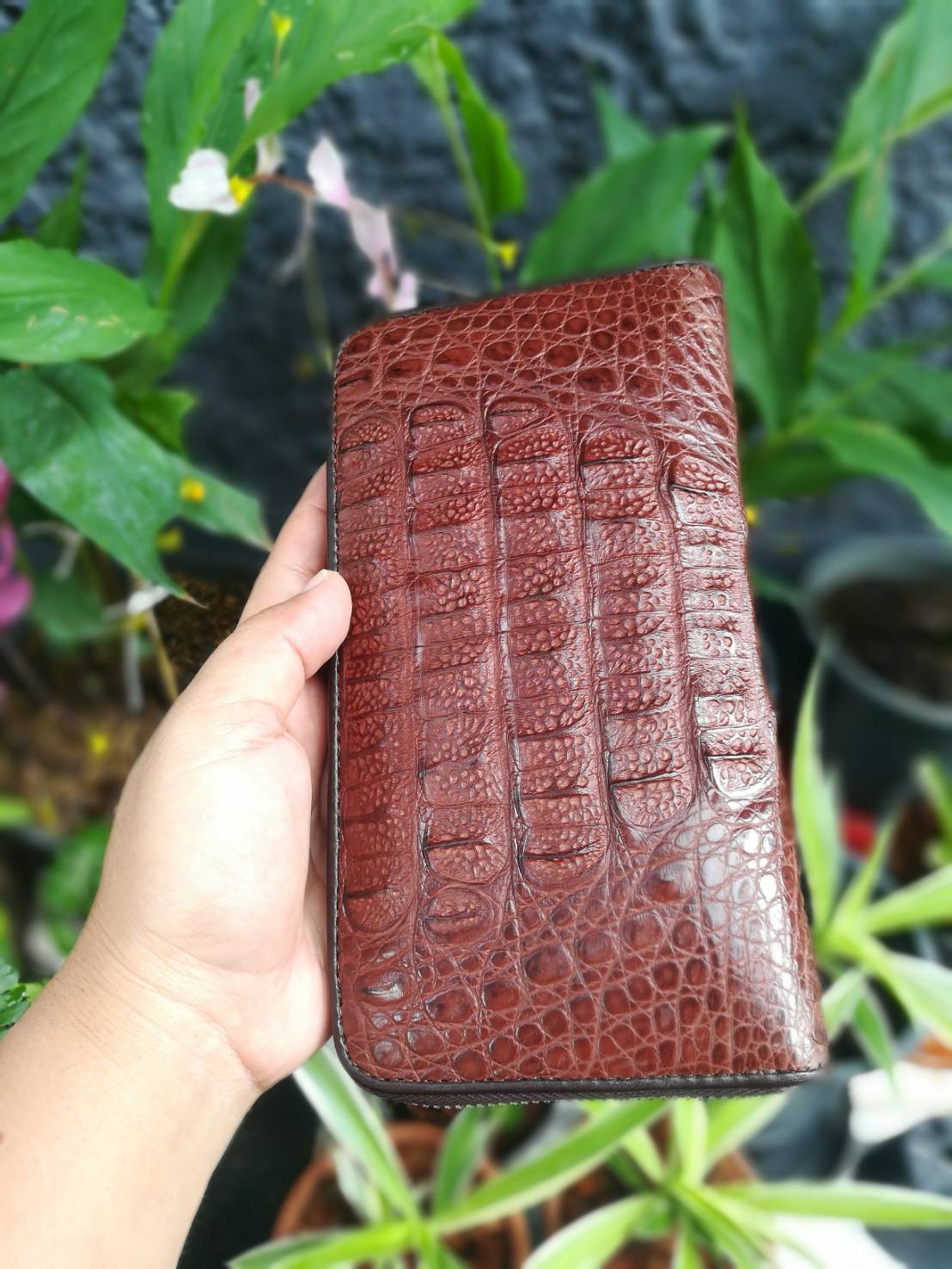 กระเป๋าหนังจระเข้แท้แบบซิปเดี่ยว(หนังกระดูกหัว)