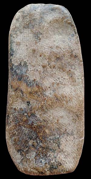 ลีลาข้างดอกไม้ เนื้อดิน