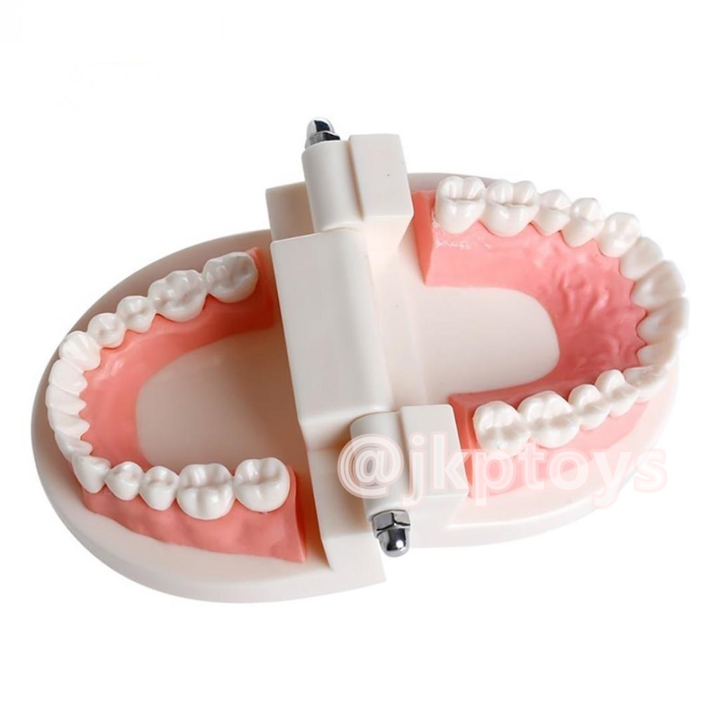 โมเดลฟันเสมือนจริง